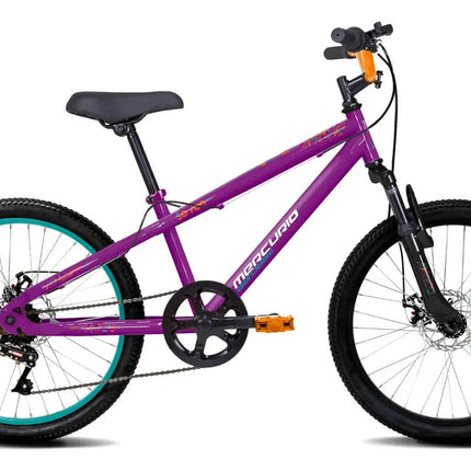 Bicicleta De Montaña Mercurio Seven R20'' 7v