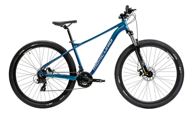 Mountain Bike Mercurio Ranger Team 29 24v 2025 Azul 17 "