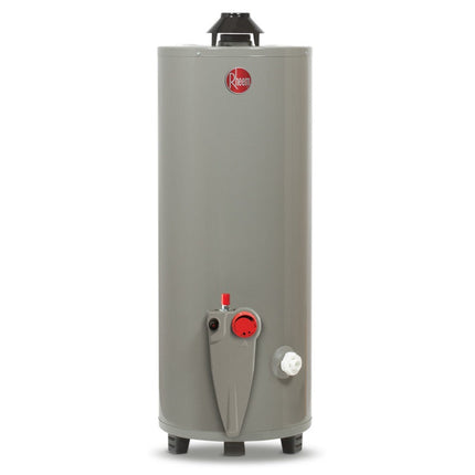 Calentador de Agua Deposito Rheem 29V20S28P/393391 20 Galones 76 Litros Gas Natural Blanco