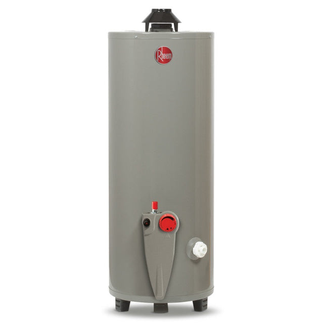 Calentador de Agua Deposito Rheem 29V20S28P/393391 20 Galones 76 Litros Gas Natural Blanco