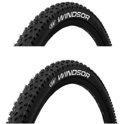 Paquete De 2 Llantas R-29x2.10 En Nylon Windsor Winll05