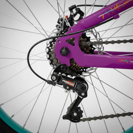 Bicicleta De Montaña Mercurio Seven R20'' 7v