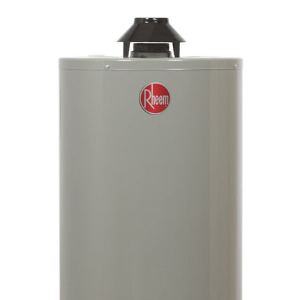 Calentador de Agua Deposito Rheem 29V20S28P/393391 20 Galones 76 Litros Gas Natural Blanco