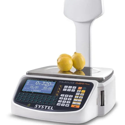 Báscula Cuora Max 30kg Con Torre Usb + Wifi Systel Color Plateado Peso máximo soportado 30 kg