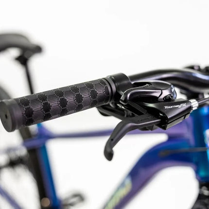 Mountain Bike Mercurio Ranger Team 29 24v 2025 Azul 17 "