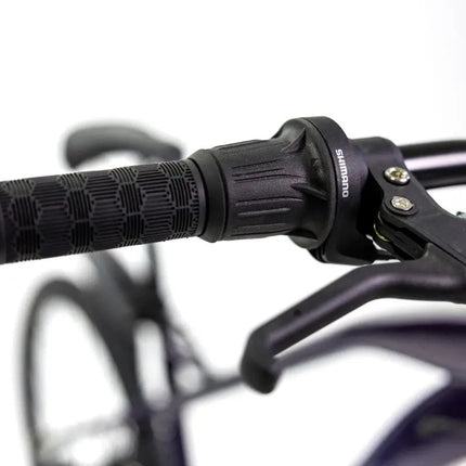 Bicicleta De Montaña Mercurio Kaizer R26'' Color Purpura 21v Violeta Oscuro