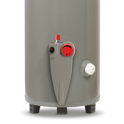 Calentador de Agua Deposito Rheem 29V20S28P/393391 20 Galones 76 Litros Gas Natural Blanco