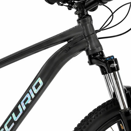 Bicicleta Mercurio Ranger Team R29'' Humo 24v