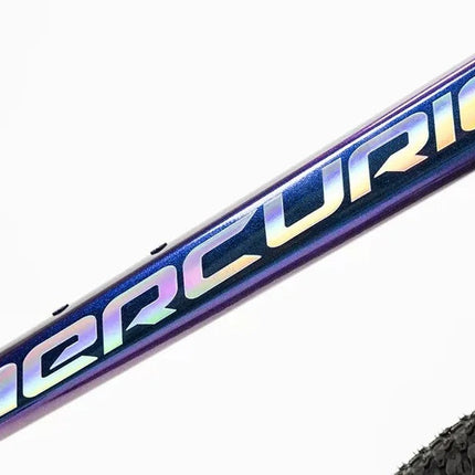 Mountain Bike Mercurio Ranger Team 29 24v 2025 Morado 17 "