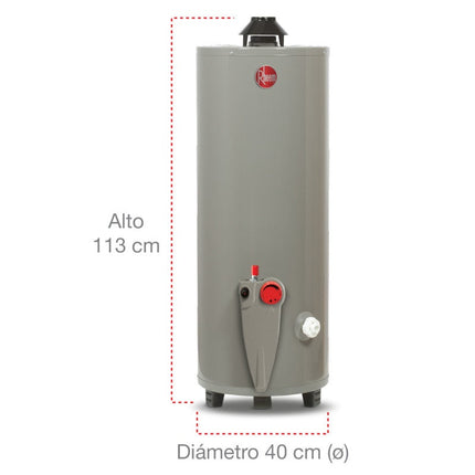 Calentador de Agua Deposito Rheem 29V20S28P/393391 20 Galones 76 Litros Gas Natural Blanco