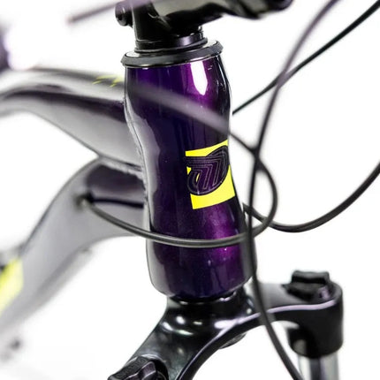 Bicicleta De Montaña Mercurio Kaizer R26'' Purpura 21v