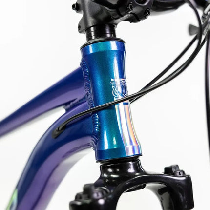 Mountain Bike Mercurio Ranger Team 29 24v 2025 Azul 17 "