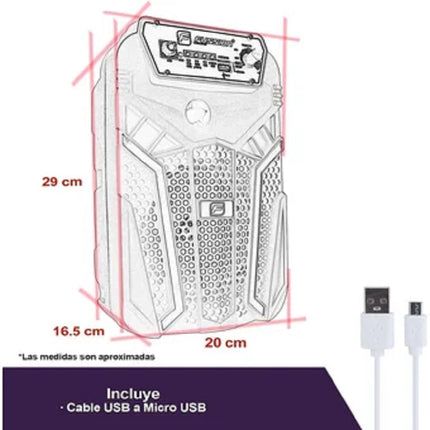 Bafle Fussion PBS-65003 Recargable 6.5" Potencia 8000 W Bluetooth