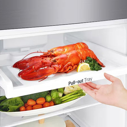Refrigerador LG GT35BP Top Mount 11 Pies Plateado