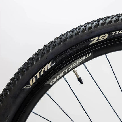 Mountain Bike Mercurio Ranger Team 29 24v 2025 Azul 17 "