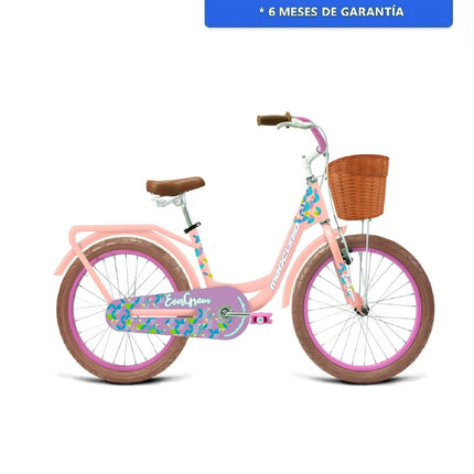 Bicicleta Evergreen 1 Velocidad Rodada R20 Mercurio Menta