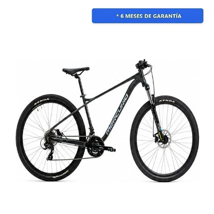 Bicicleta Mercurio Ranger Team R29'' Humo 24v