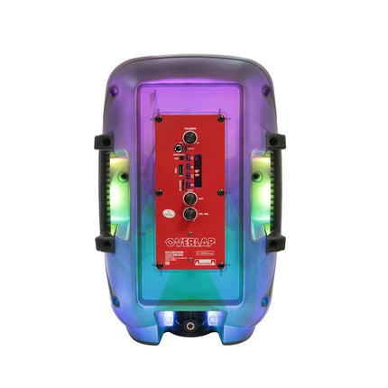 Bafle Fussion PBS-8042 Recargable de 8" Bluetooth