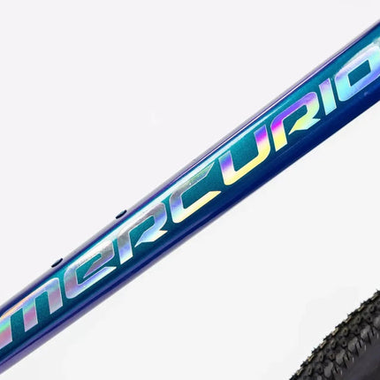 Mountain Bike Mercurio Ranger Team 29 24v 2025 Azul 17 "