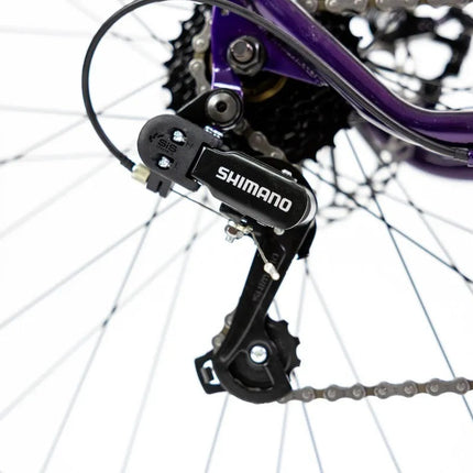 Bicicleta De Montaña Mercurio Kaizer R26'' Purpura 21v