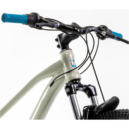 Bicicleta De Montaña Mercurio Kaizer R29'' Color Gris 21v