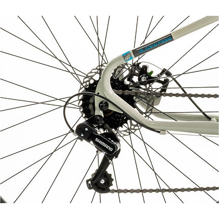 Bicicleta De Montaña Mercurio Kaizer R29'' Color Gris 21v