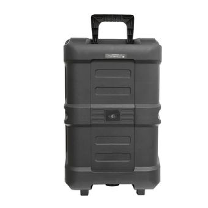 Bafle Amplificado Fussion PBS-12SWAN 12" 30,000 W P.M.P.O