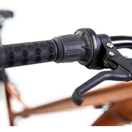 Bicicleta De Montaña Mercurio Ds Kaizer R29 Color Bronce 21v