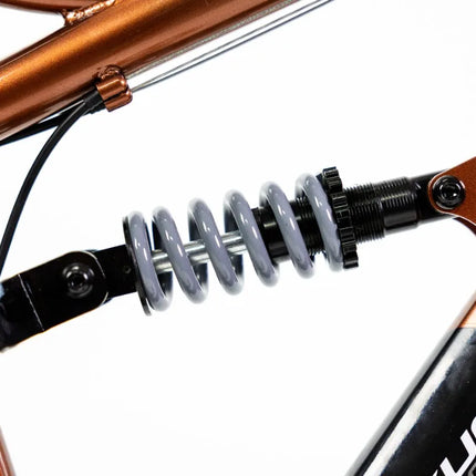 Bicicleta De Montaña Mercurio Ds Kaizer R29 Color Bronce 21v